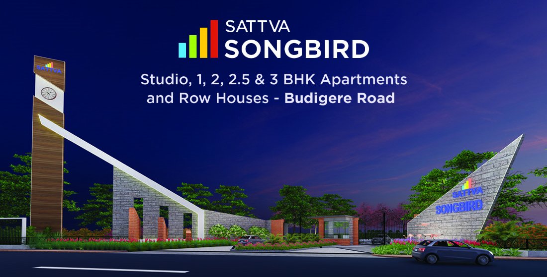 Blog Banner Image