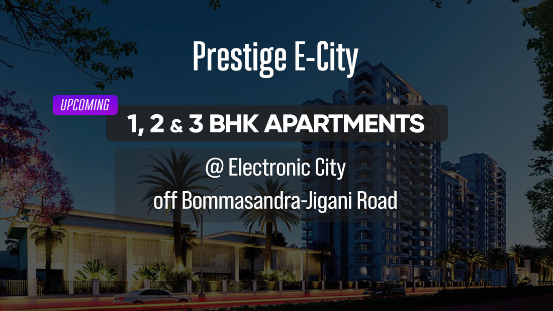 Blog Banner Image